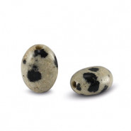 Natural stone bead Dalmatian Stone oval 8x6mm Greige